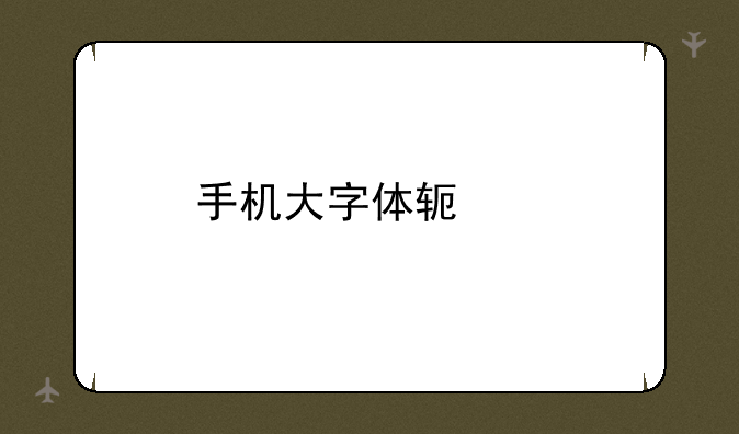 手机大字体软件