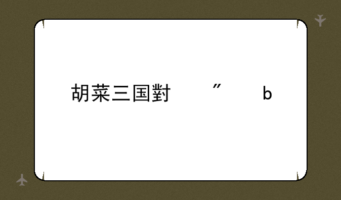 胡菜三国小分队