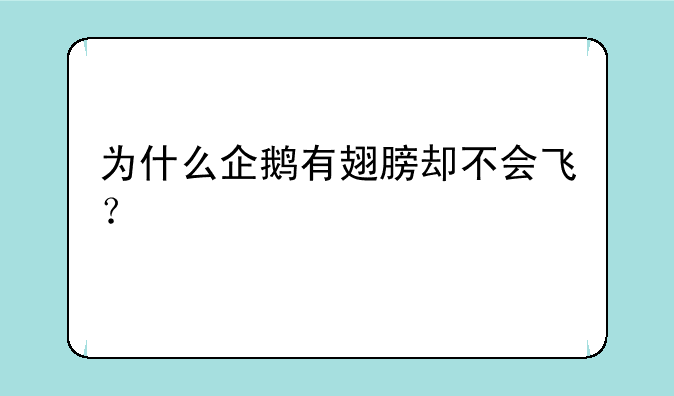 为什么企鹅有翅膀却不会飞？