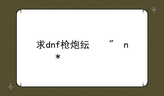 求dnf枪炮纯刷图加点