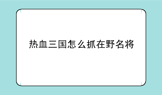 热血三国怎么抓在野名将