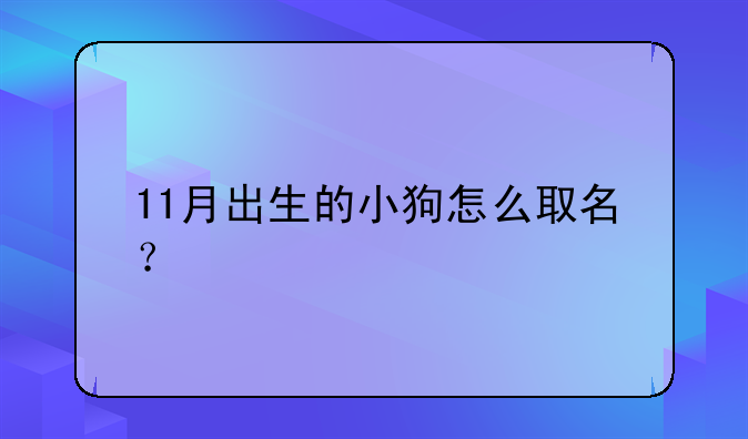 11月出生的小狗怎么取名？
