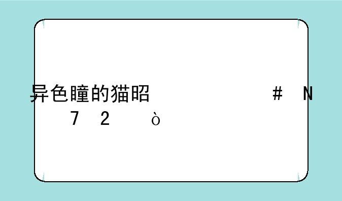 异色瞳的猫是什么品种猫？