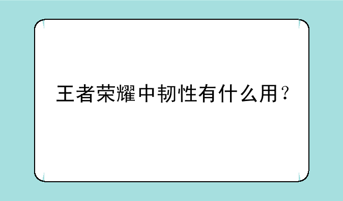 王者荣耀中韧性有什么用？