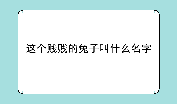 这个贱贱的兔子叫什么名字