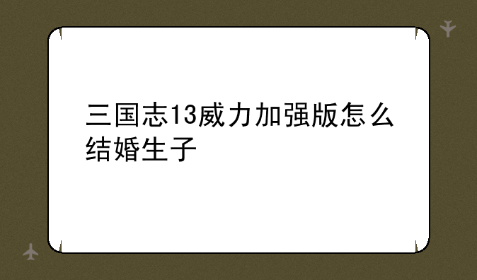 三国志13威力加强版怎么结婚生子