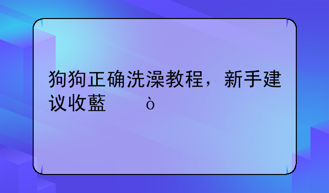 狗狗正确洗澡教程，新手建议收藏！