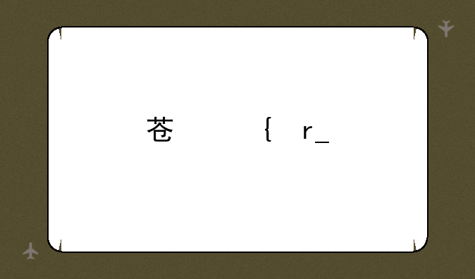 苏州蜗牛数字科技股份有限公司的产品与服务