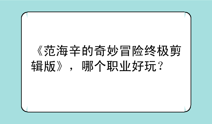 《范海辛的奇妙冒险终极剪辑版》，哪个职业好玩？