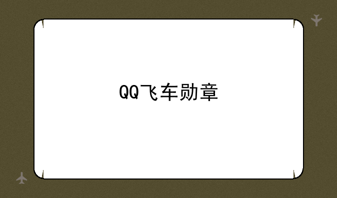 QQ飞车勋章