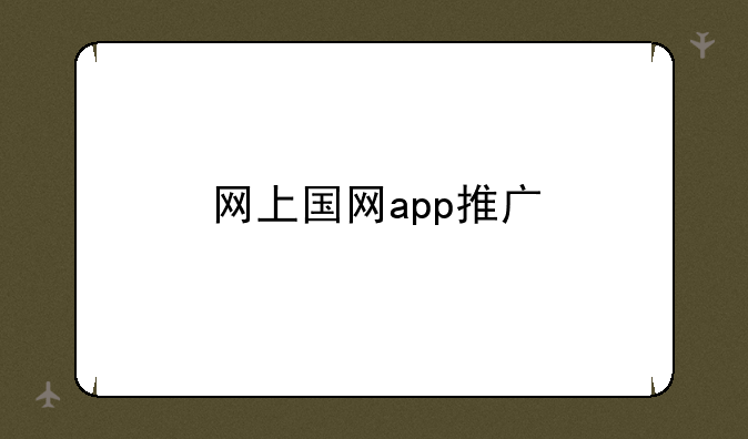 网上国网app推广