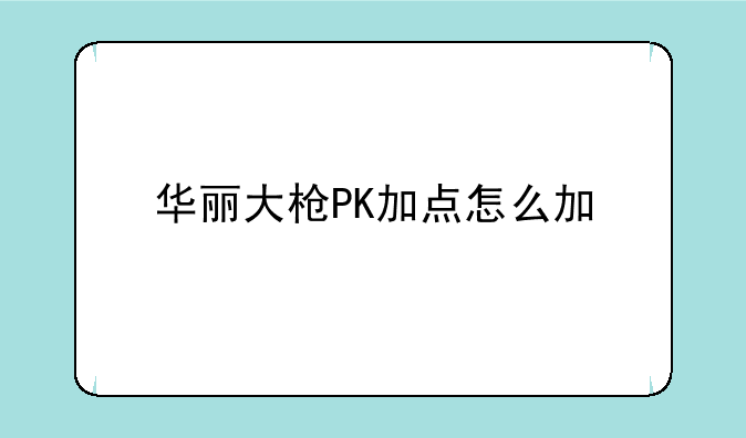 华丽大枪PK加点怎么加